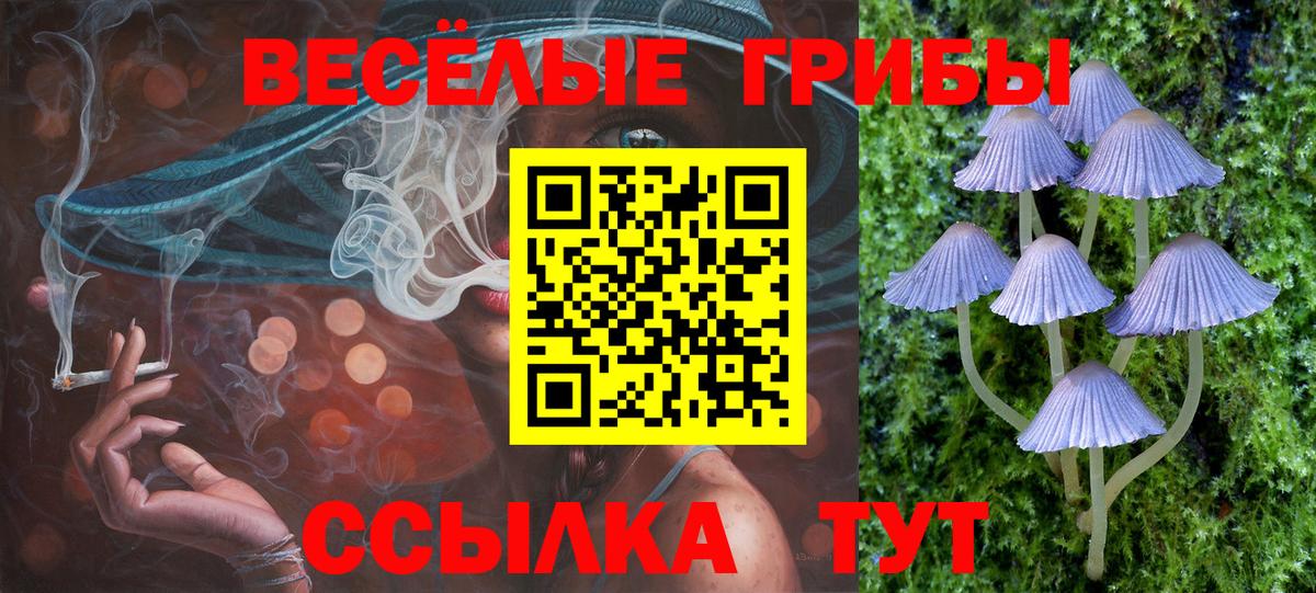 Псилоцибиновые грибы MAGIC MUSHROOMS Заинск